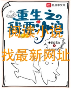 重生之我要冲浪