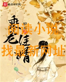 乘龙佳婿