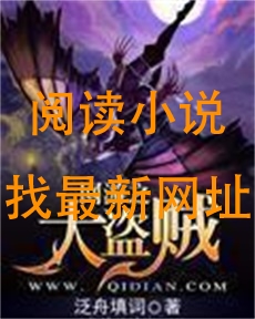 网游之大盗贼